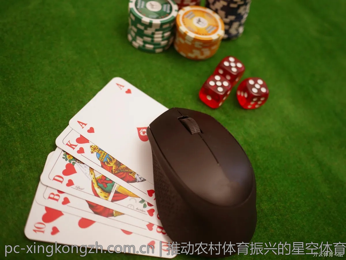 推动农村体育振兴的星空体育平台行动计划